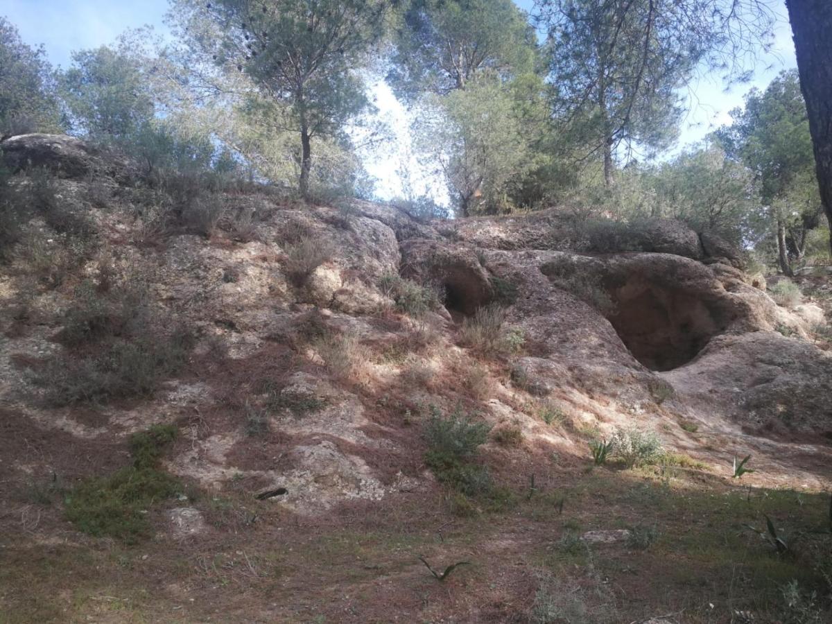 Alojamiento Rural El Paraiso Del Chorro Dış mekan fotoğraf