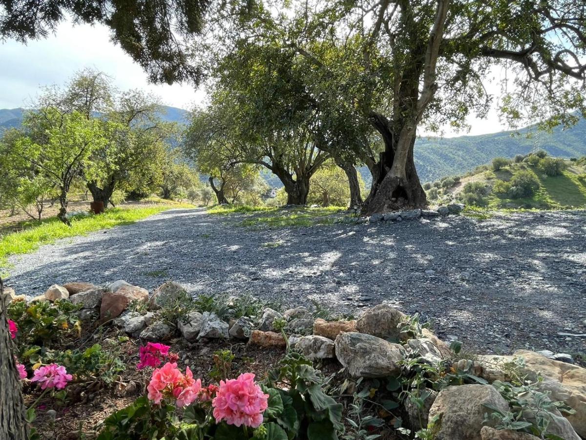 Alojamiento Rural El Paraiso Del Chorro Dış mekan fotoğraf